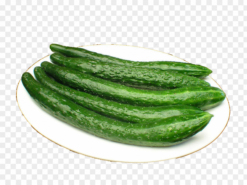 Cucumber Slicing Food Vegetable Melon Napa Cabbage PNG