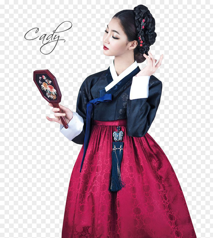 Dress Joseon South Korea Costume Hanbok PNG