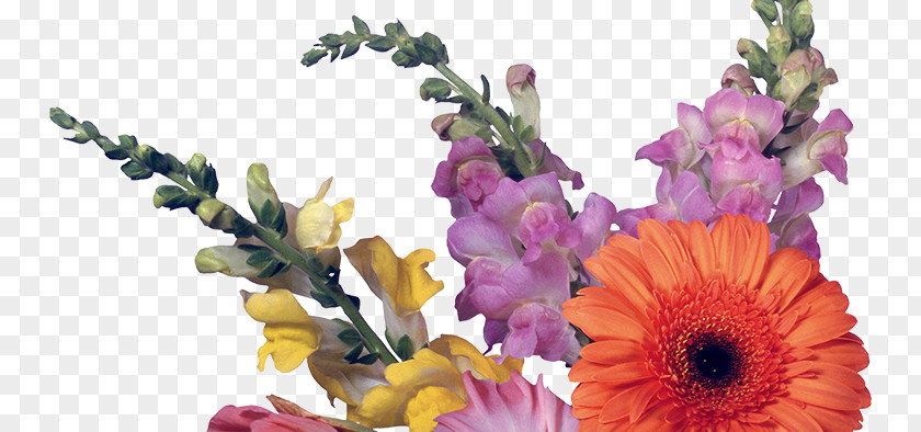 Suite Floral Design Desktop Wallpaper Cut Flowers 1080p PNG