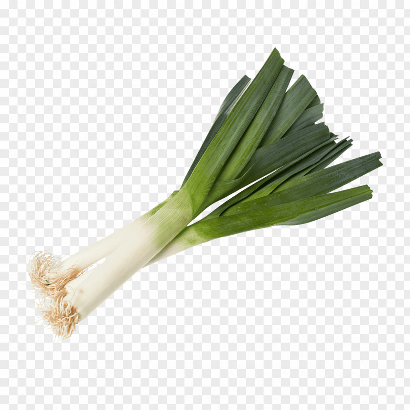 Vegetable Leek Welsh Onion Aldi Product PNG