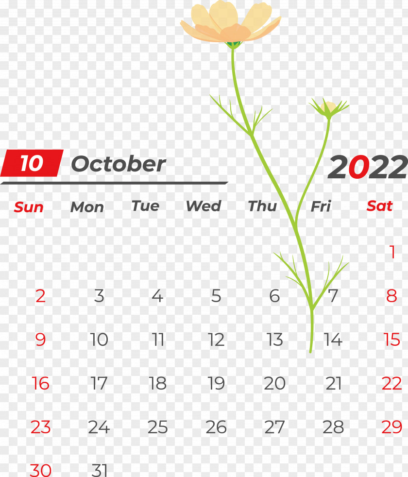 Flower Line Font Petal Calendar PNG