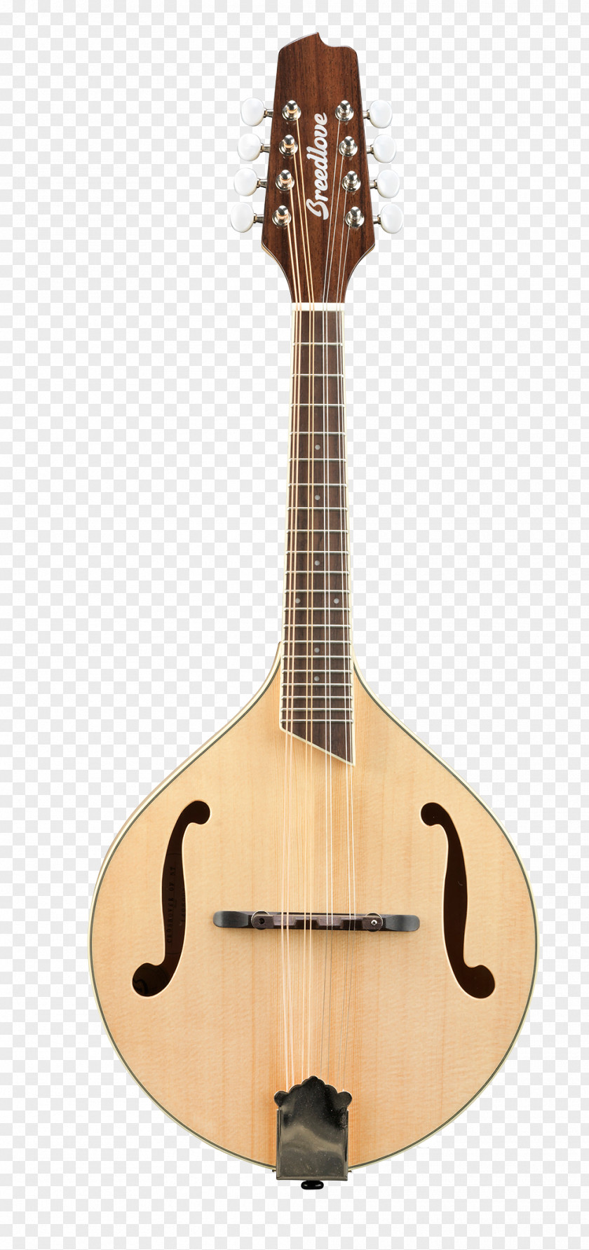 Guitar Ukulele Mandolin Breedlove Guitars Violin PNG
