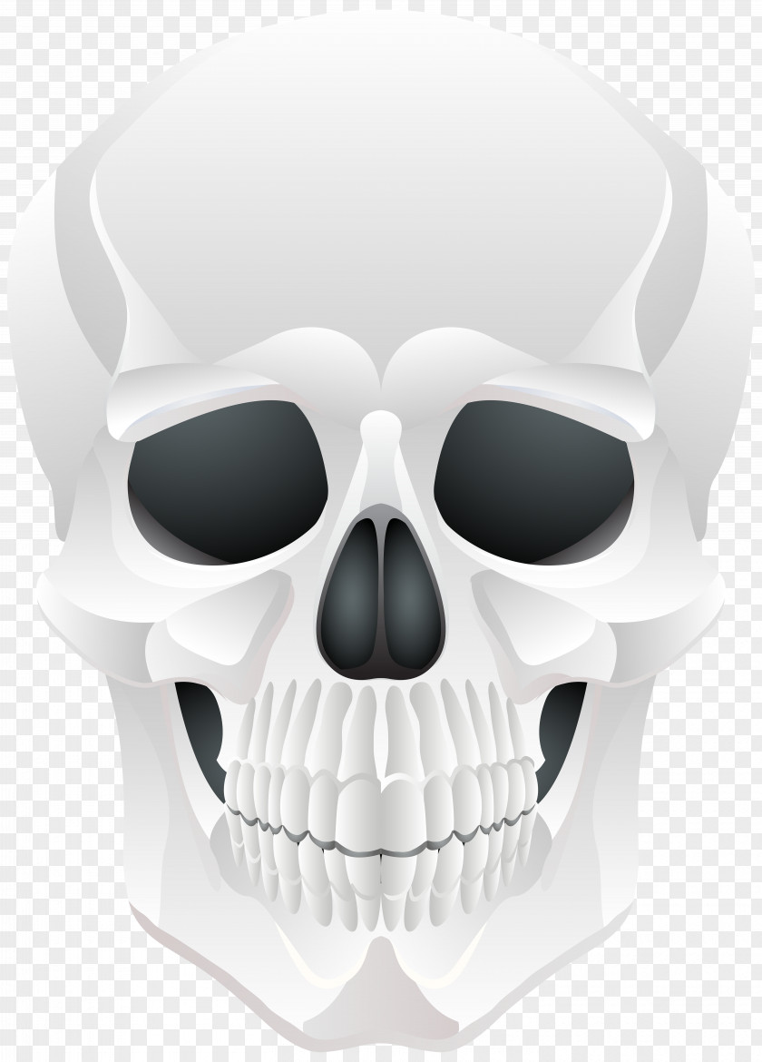 Halloween Skull Clip Art PNG