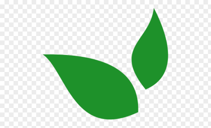 Leaf Logo Green Font PNG