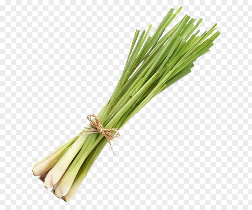 Lemongrass Material PNG material clipart PNG