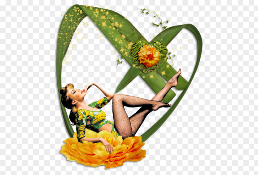 Model Floral Design Art Fishnet Cut Flowers PNG