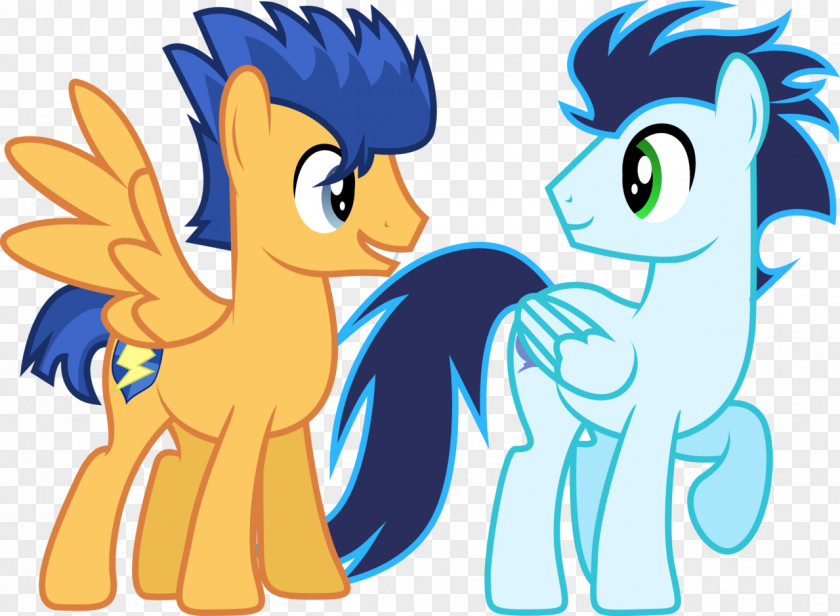 My Little Pony Flash Sentry Twilight Sparkle Winged Unicorn PNG