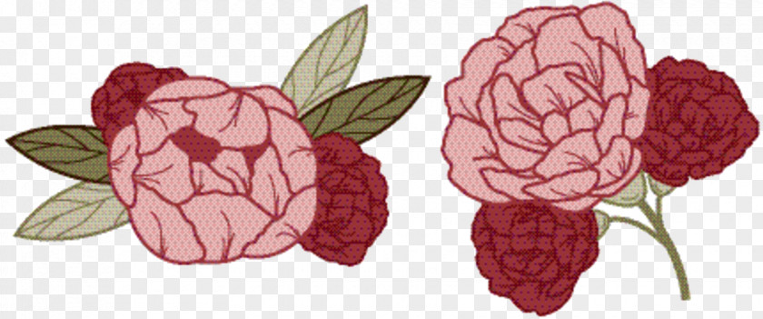 Raspberry Food Pink Flower Cartoon PNG