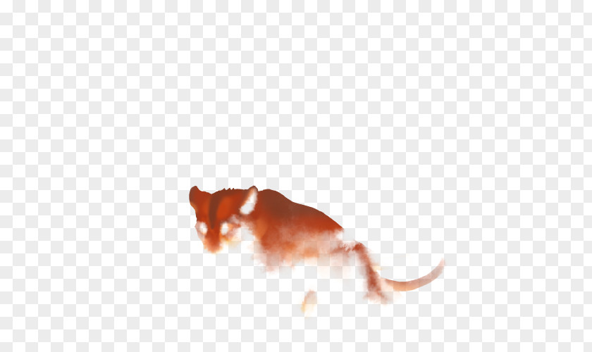 Rat Dog Mammal Snout Canidae PNG