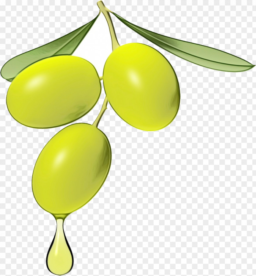 Tree Leaf Yellow Olive Fruit Plant PNG