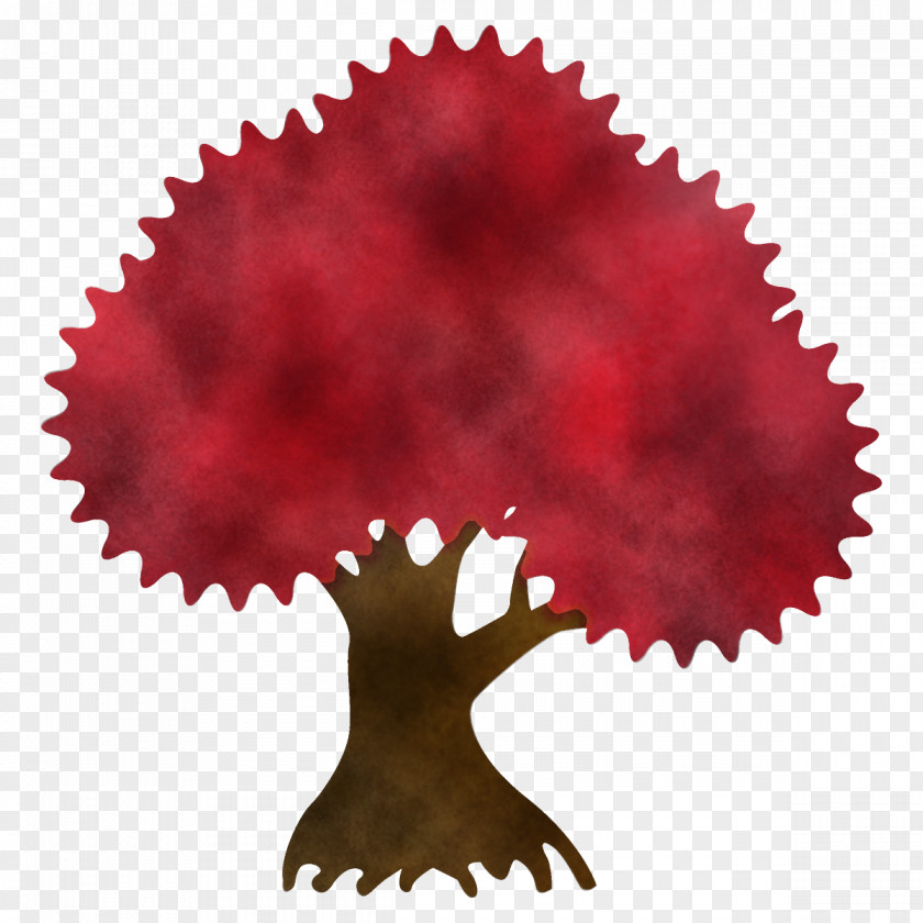 Autumn Tree Broadleaf PNG