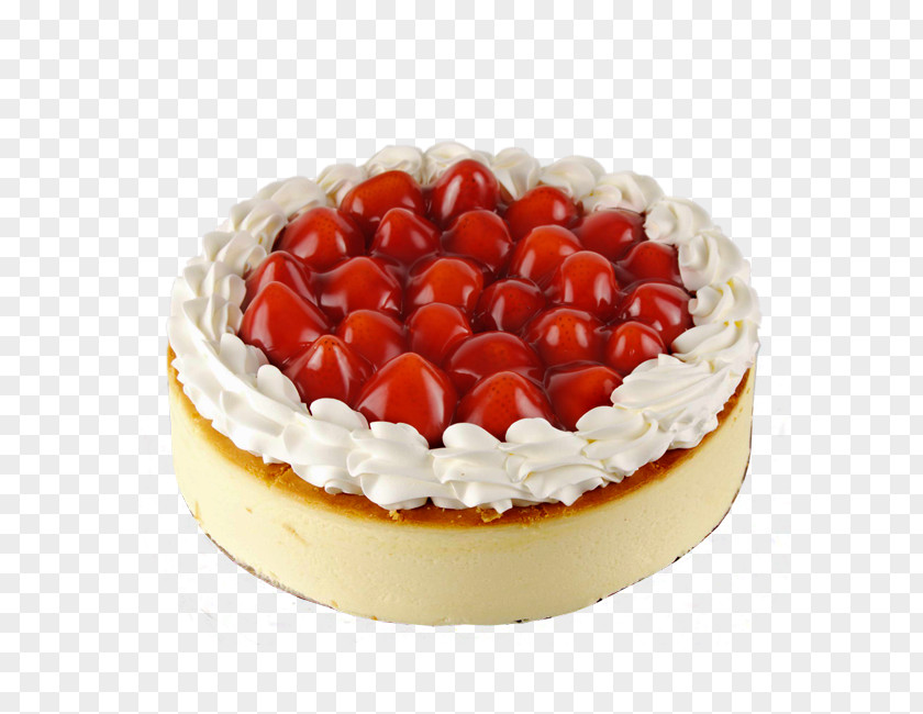 Cheesecake Bavarian Cream Sponge Cake Torte PNG