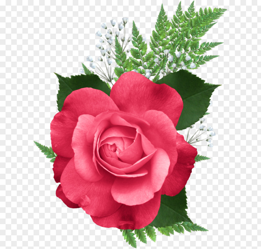 Flower Garden Roses Clip Art PNG