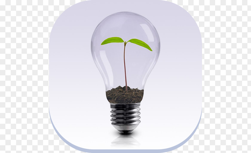 Green Lamp Innovation Leadership Service Organization Management PNG