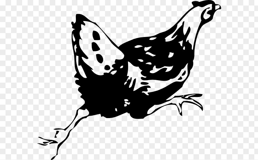 Hen Chicken Rooster Clip Art PNG