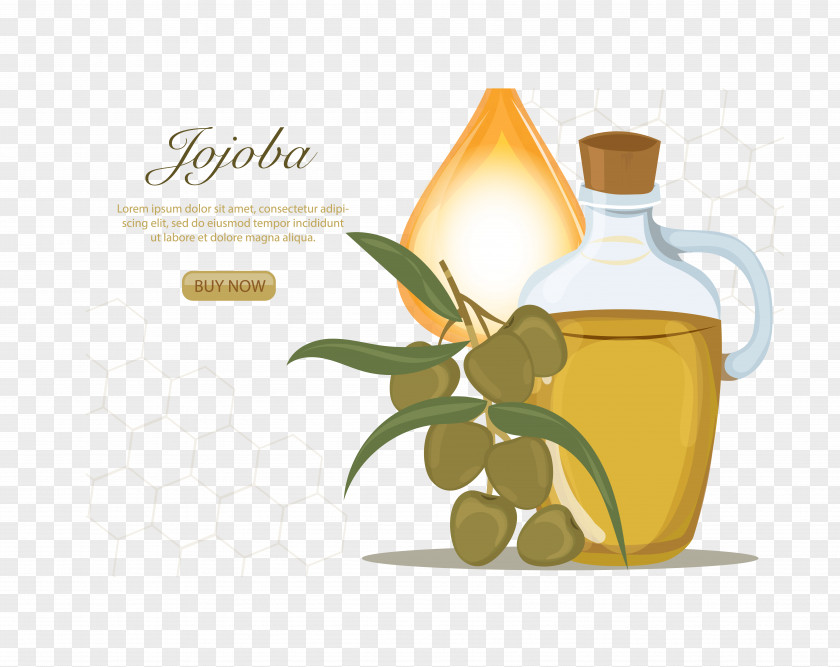 Olive Oil Kettle Coffee Jojoba PNG