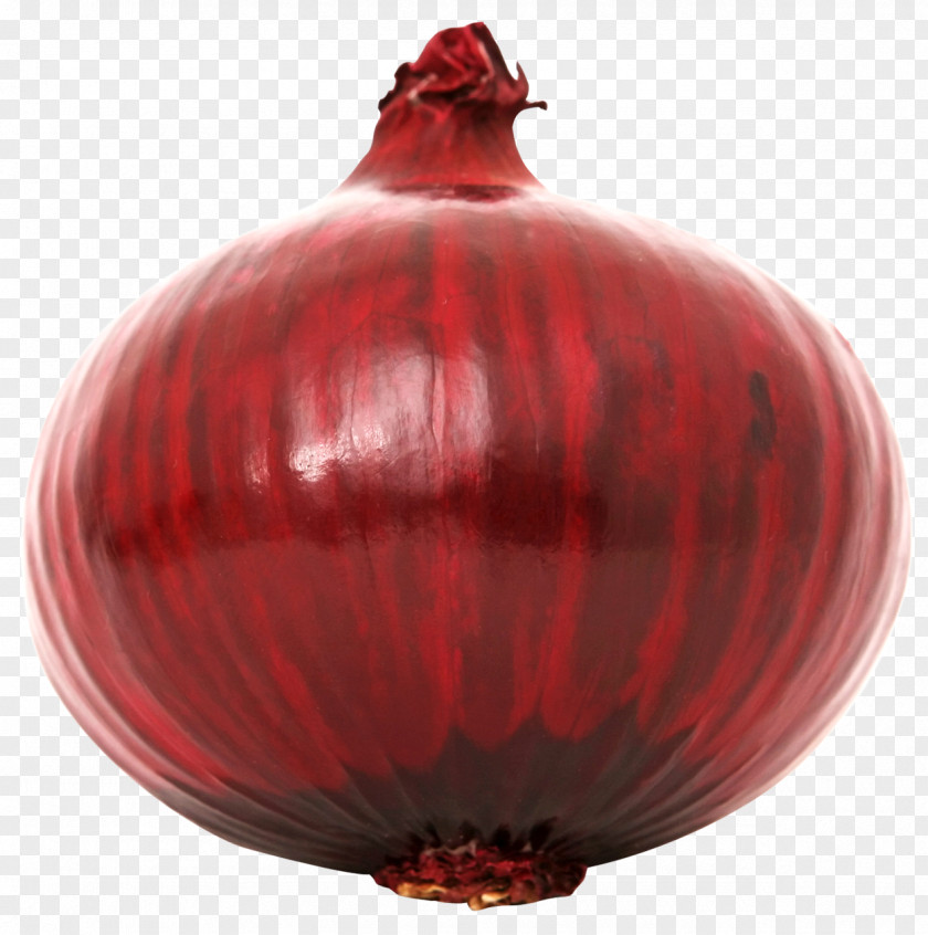 Red Onion Vegetable PNG