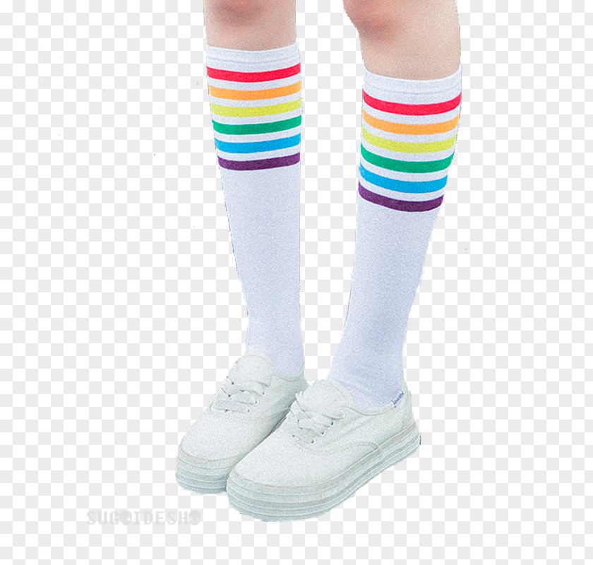 White Socks Sock Knee Highs Amazon.com Cotton PNG
