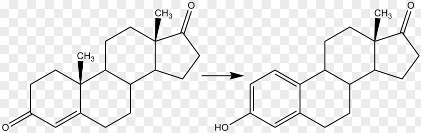 Aromatase Inhibitor Testosterone Estradiol Estrogen PNG