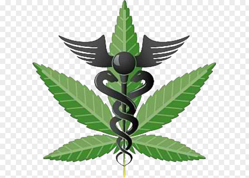 Cannabis Medical Marijuana Card Dispensary Shop PNG