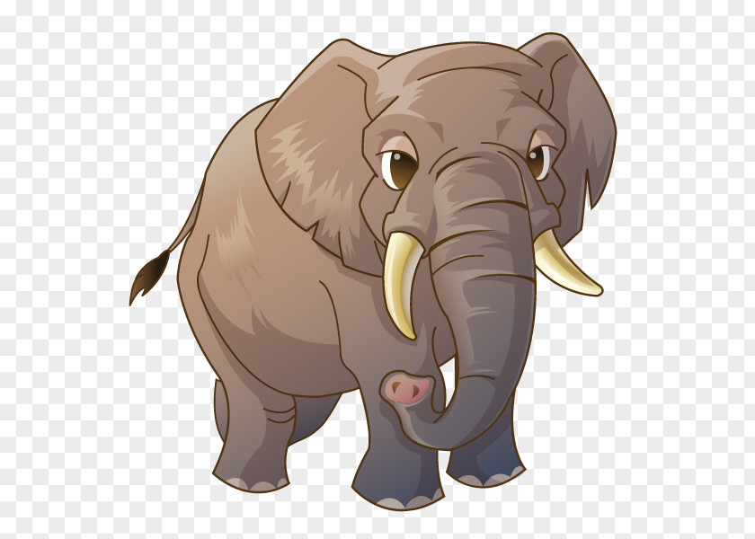 Elephant African Animal PNG