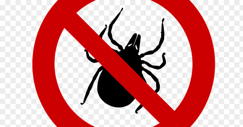 Health Tick-borne Disease Lyme Deer Tick PNG