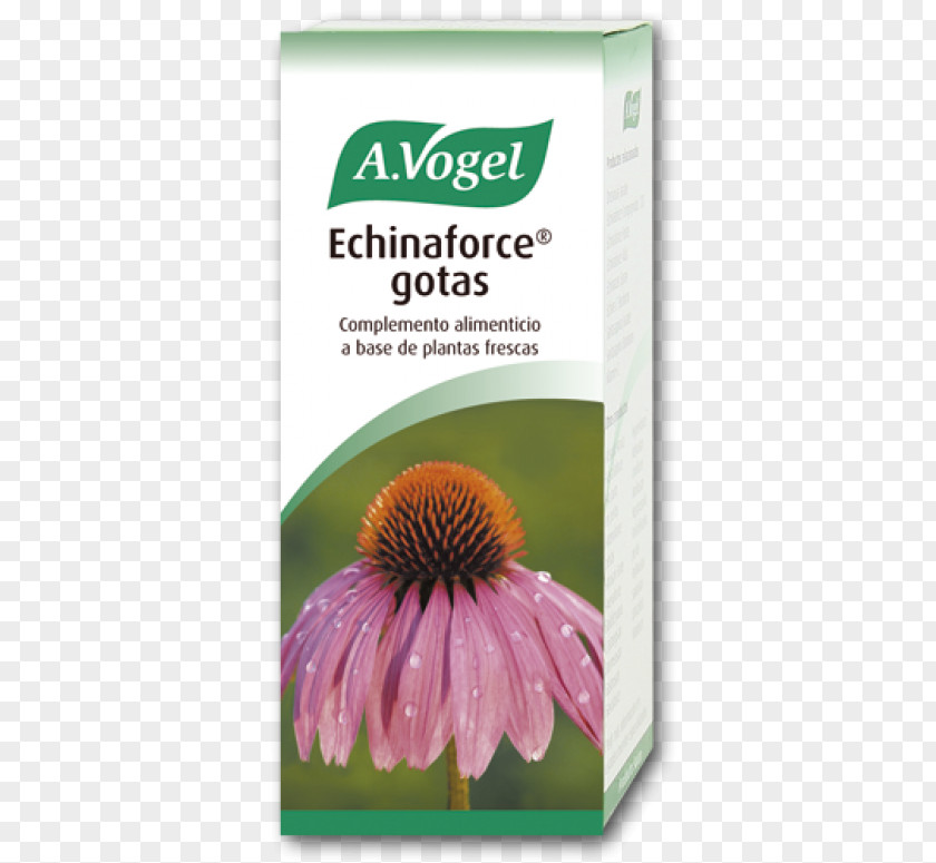 1 Milliliter Dropper A.Vogel Echinaforce Hot Drink 100Ml Coneflower Common Cold Health PNG