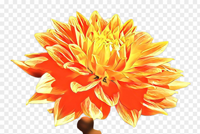 Artificial Flower PNG