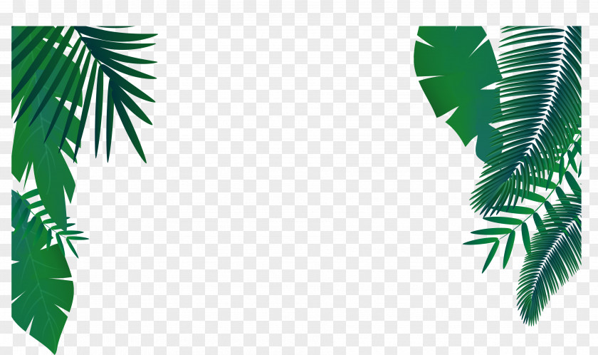Green Palm Leaf Decoration Vector Euclidean Arecaceae PNG