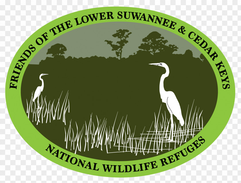 Lower Suwannee National Wildlife Refuge Cedar Keys River Suwannee, Florida PNG