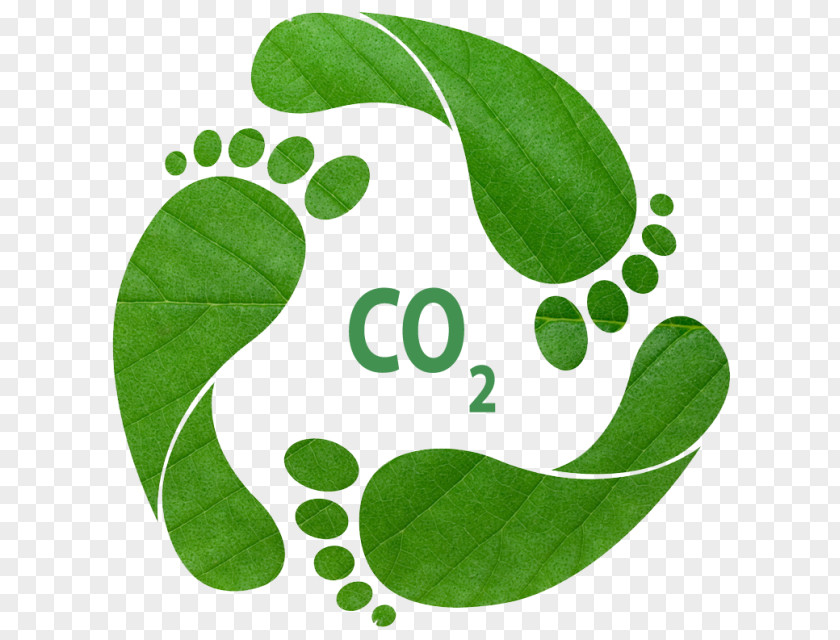 Natural Environment Earth Overshoot Day Ecological Footprint Carbon Ecology PNG