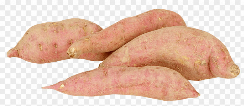 Potato Tuber Sweet Root Vegetables PNG