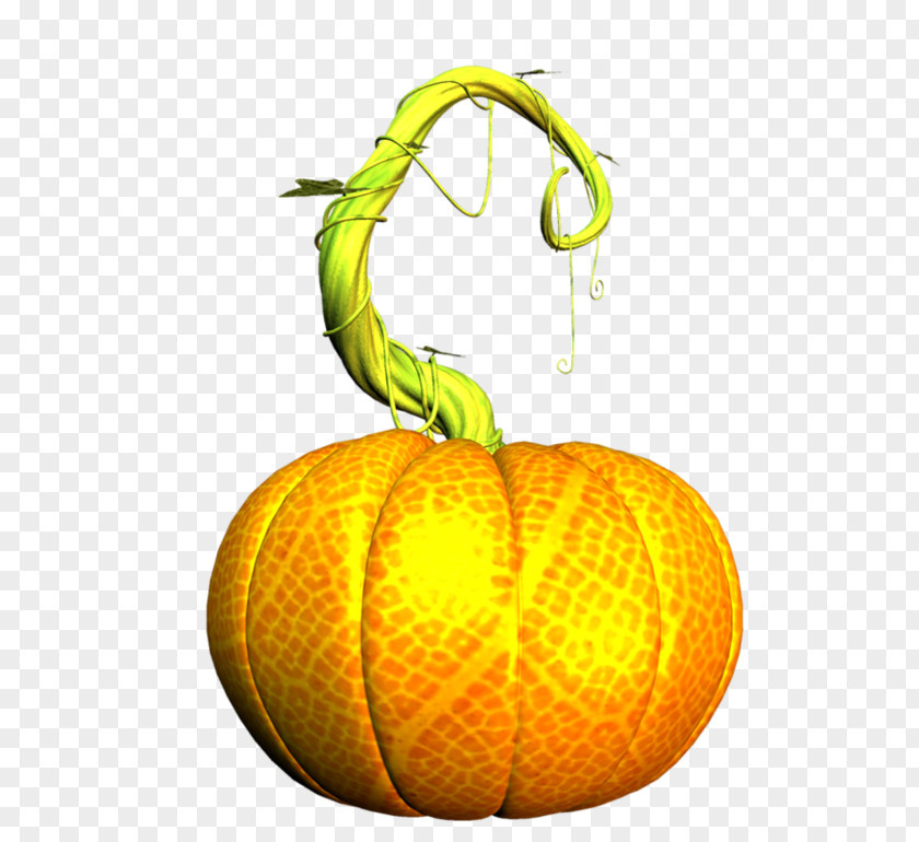 Pumpkin Calabaza Winter Squash Vegetarian Cuisine PNG