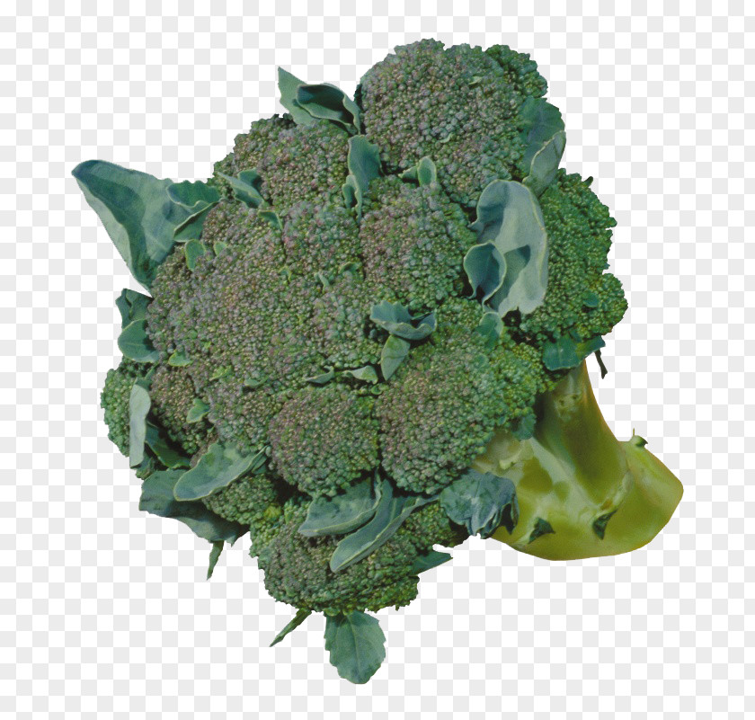 A Broccoli Cauliflower Vegetable Food PNG