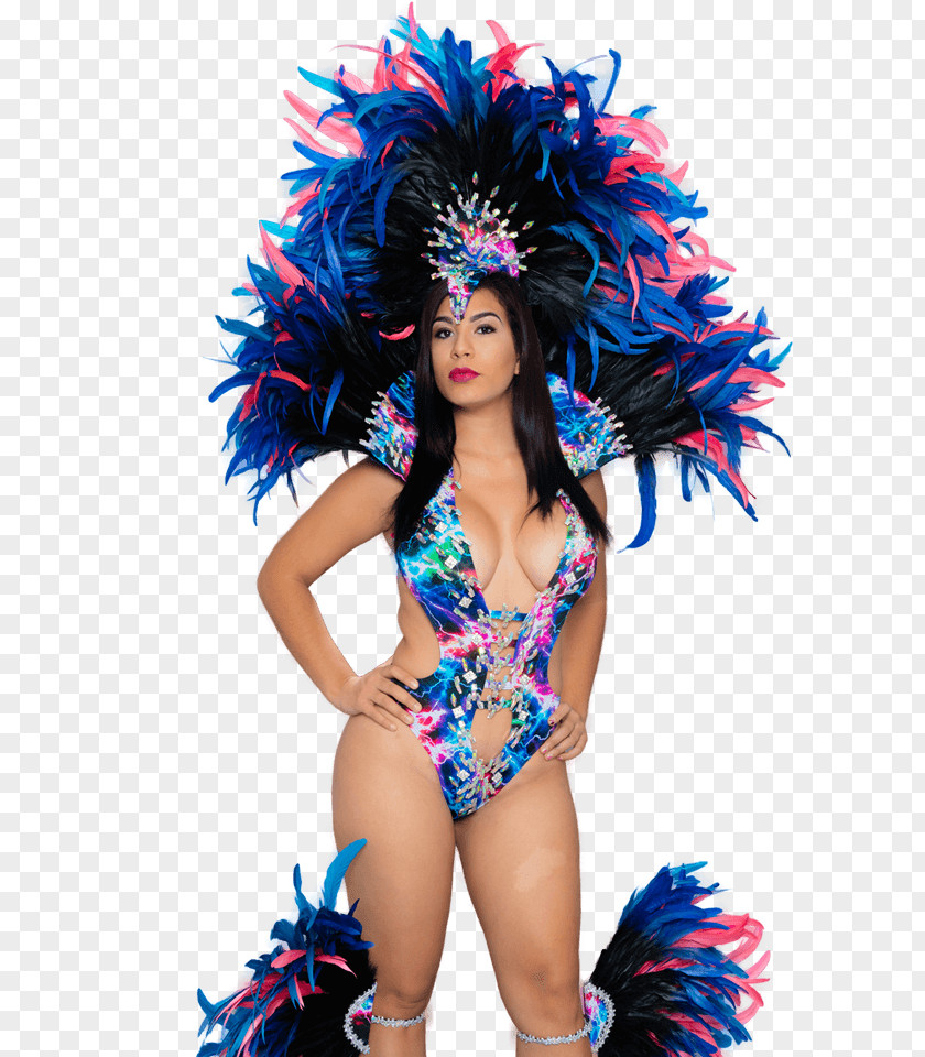 Carnival Costume Samba Fashion Feather PNG