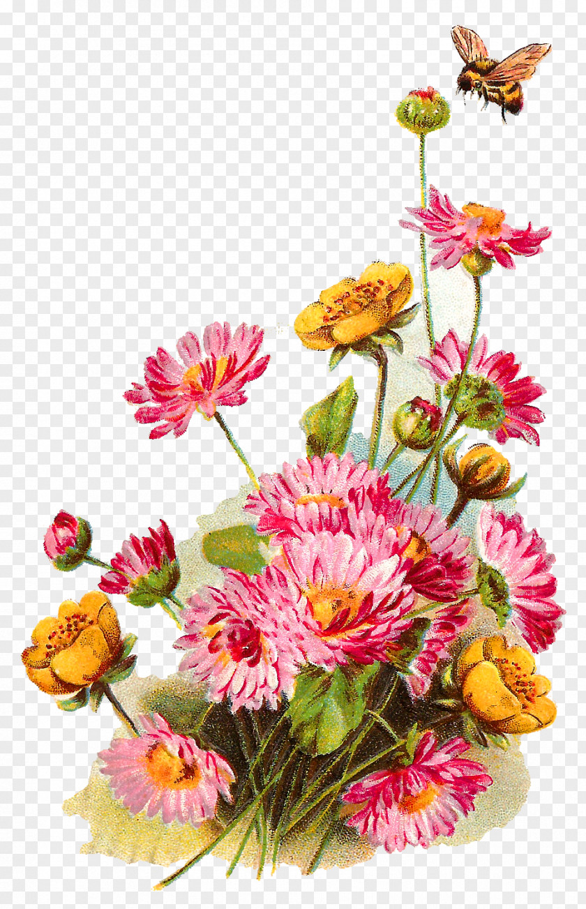 Flower Background Wildflower Clip Art PNG