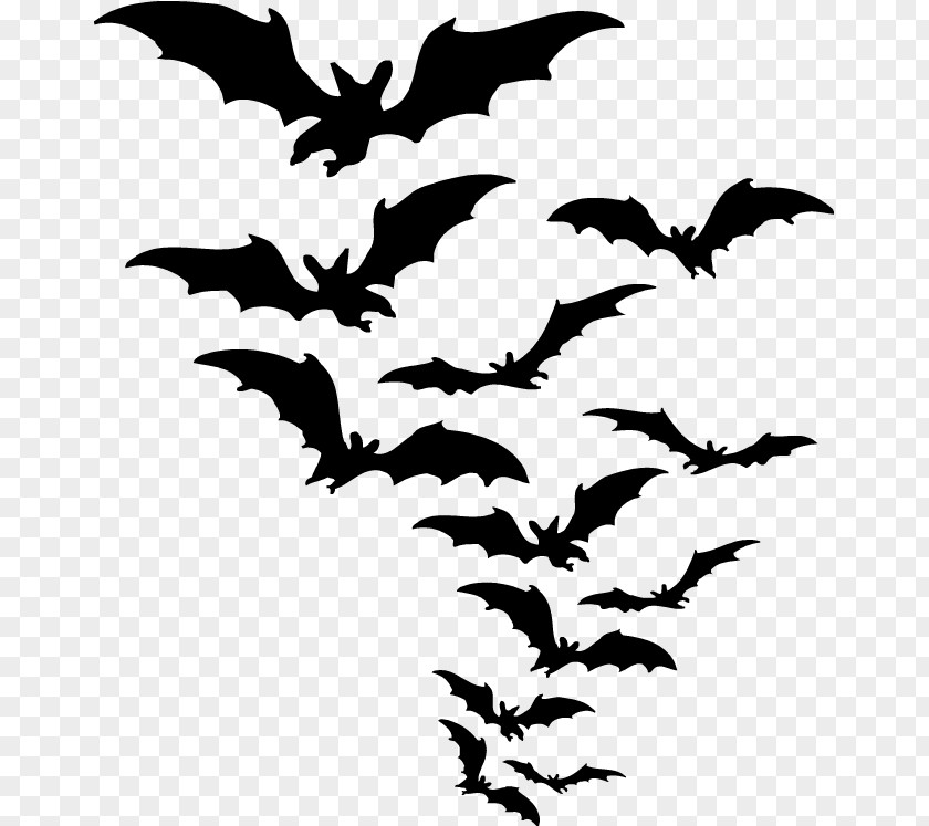 Halloween Flyer Bat Clip Art PNG