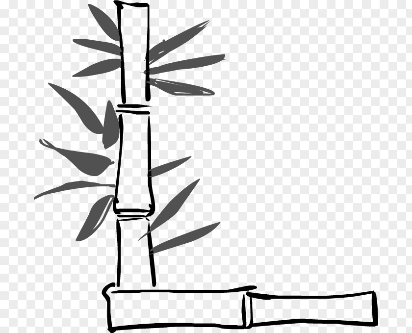 Leaf Twig Line Art Plant Stem Cartoon Clip PNG