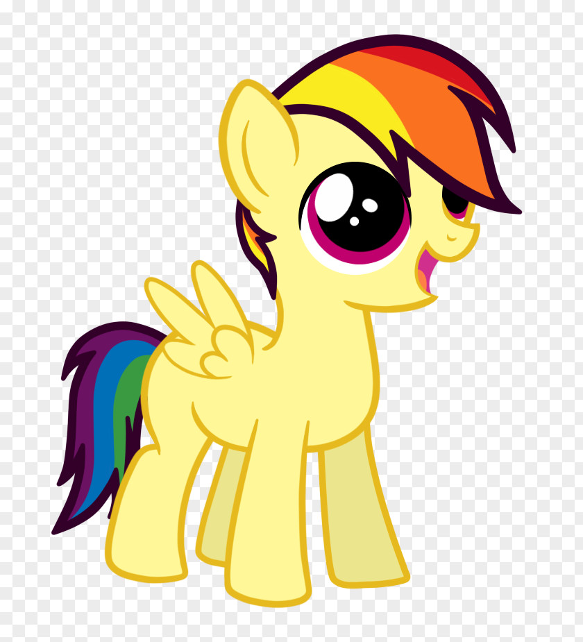 My Little Pony Rainbow Dash Fluttershy Applejack Rarity PNG