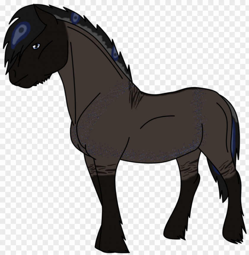 Orphan Black Mane Stallion Foal Mustang Colt PNG