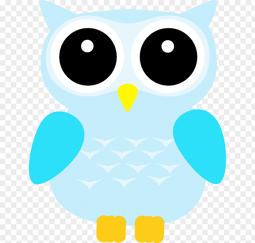 Owl Green Turquoise Aqua Cartoon PNG