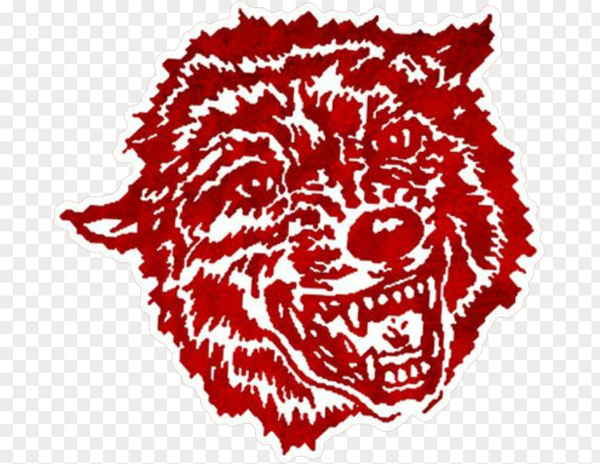 Panama Football Davis Wolves Gray Wolf Logo Oklahoma Sooners Baseball Carnivora PNG