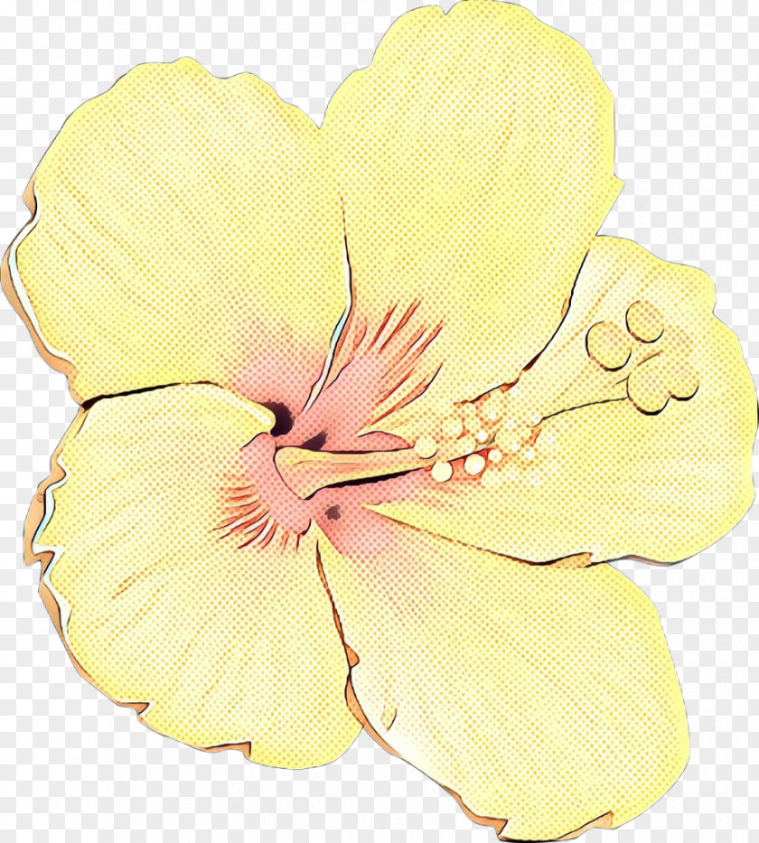 Rosemallows Cut Flowers Moth Orchids Petal PNG