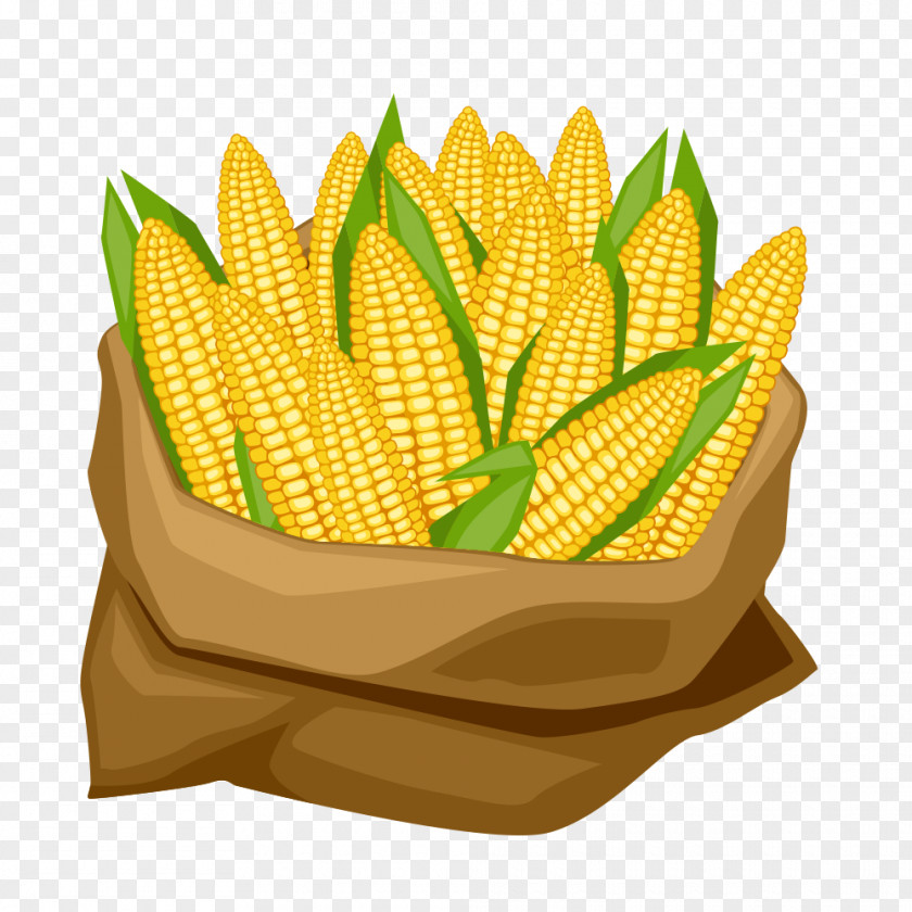 Corn On The Cob Maize Corncob Clip Art PNG