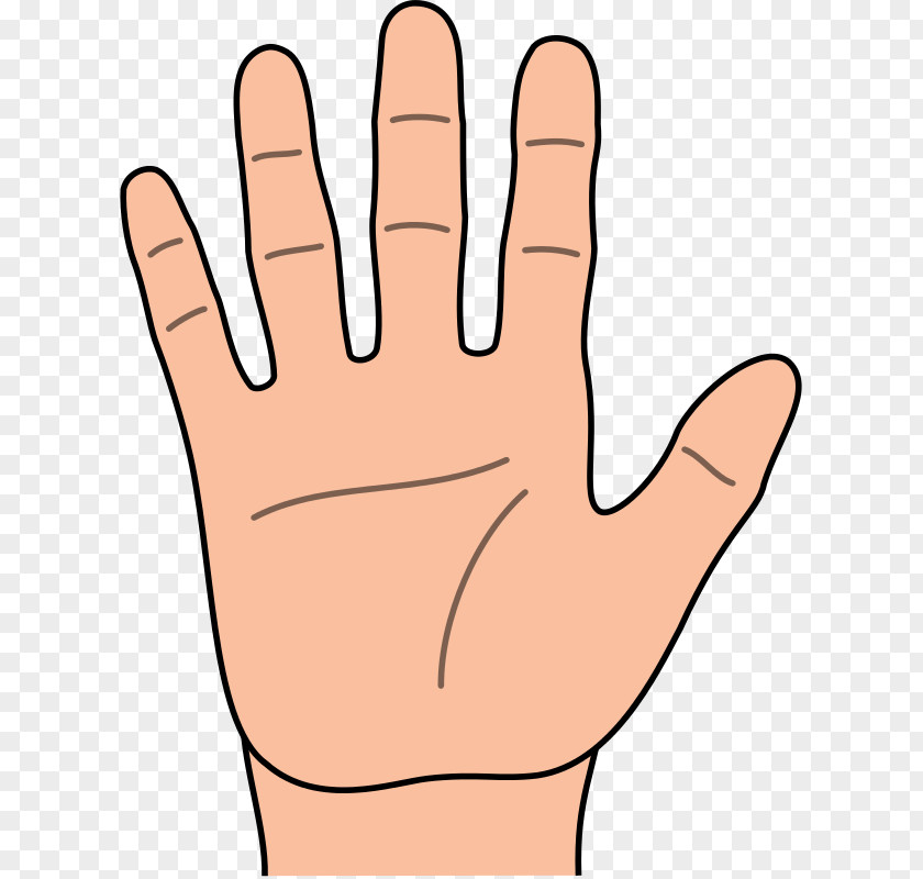 Finger Human Body Thumb Vector Graphics Hand Cartoon Character PNG