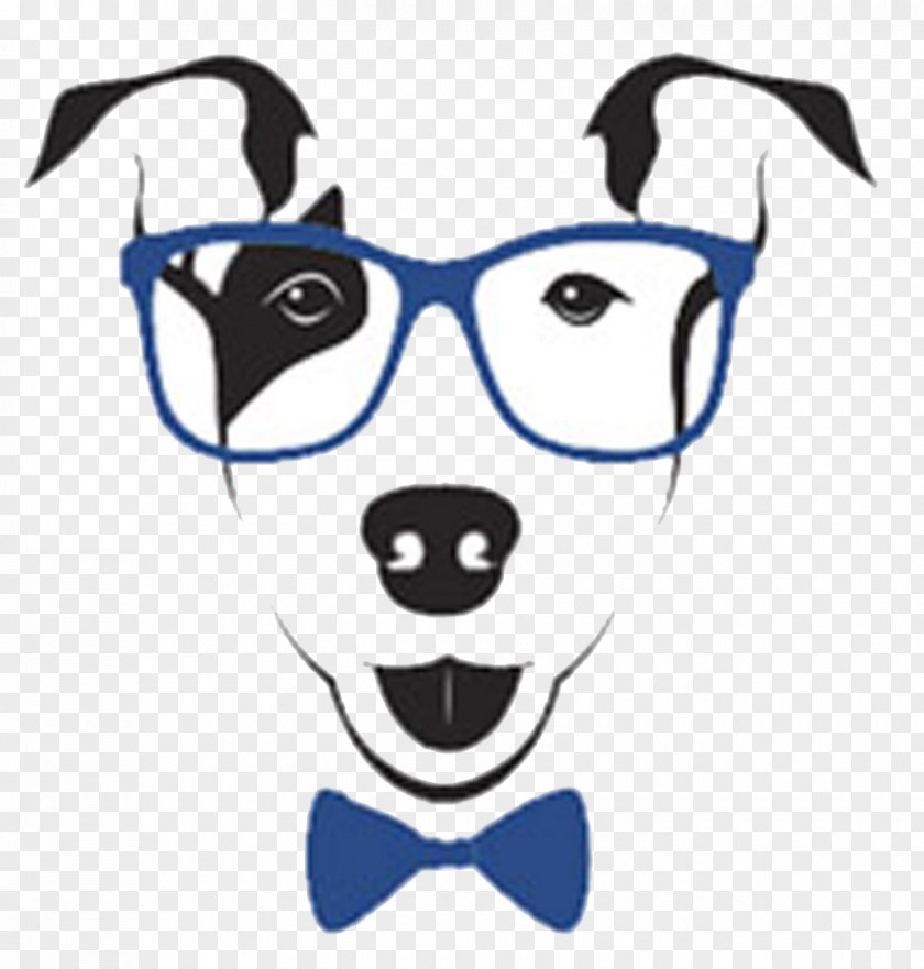 Glasses Snout Bull Terrier Veterinarian Veterynarna Klinika Vetmaks PNG