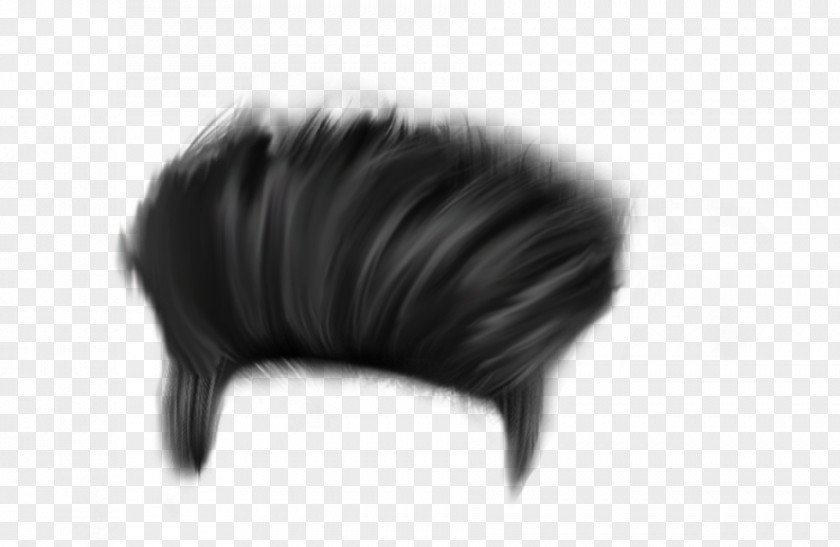 Hair Editing Brush PNG