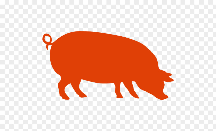 Pig Roast Pork Chicken PNG