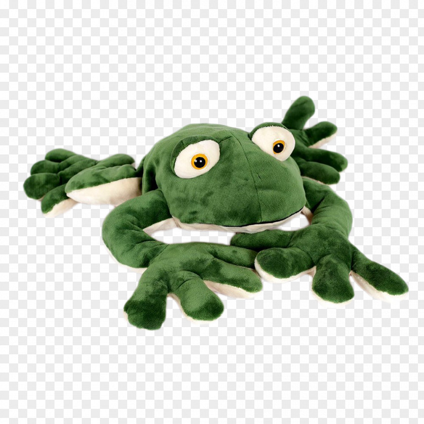 Plush Toy Stuffed Animals & Cuddly Toys Toad True Frog PNG