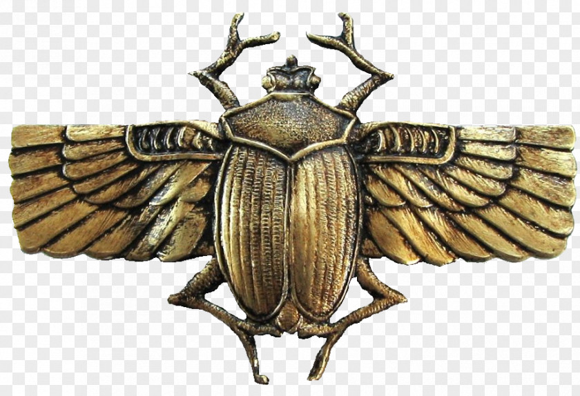 Scarab Beetle Ancient Egypt Jewellery Amulet Egyptian PNG
